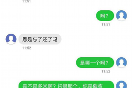 永嘉债务清欠服务